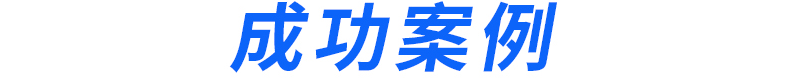 成功案例